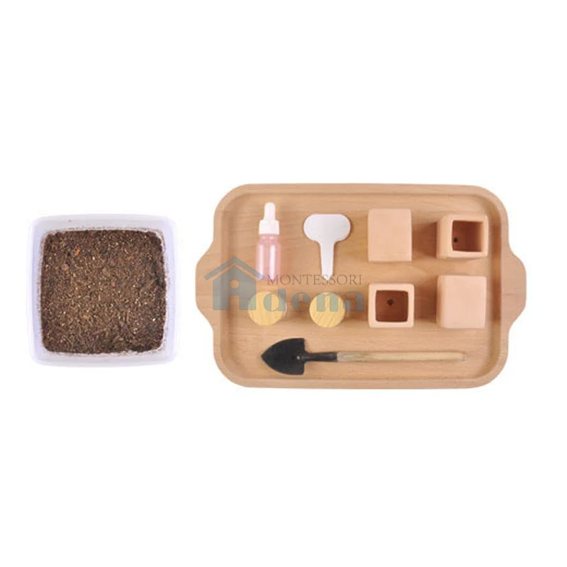 Adena Montessori Practical Life Materials Germinating Seeds Activity