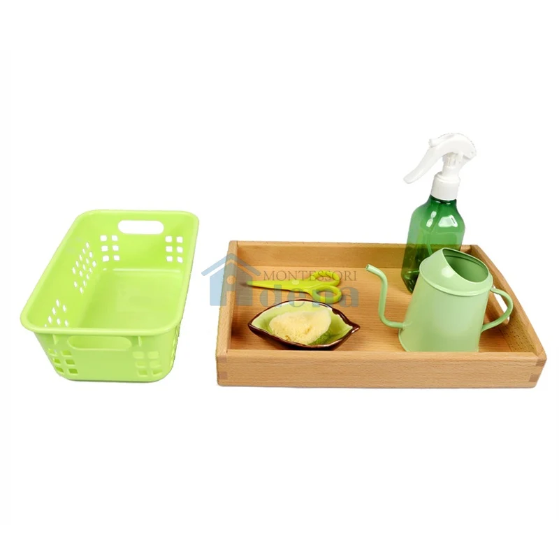 Adena Montessori Practical Life Materials Care of Plant Activity