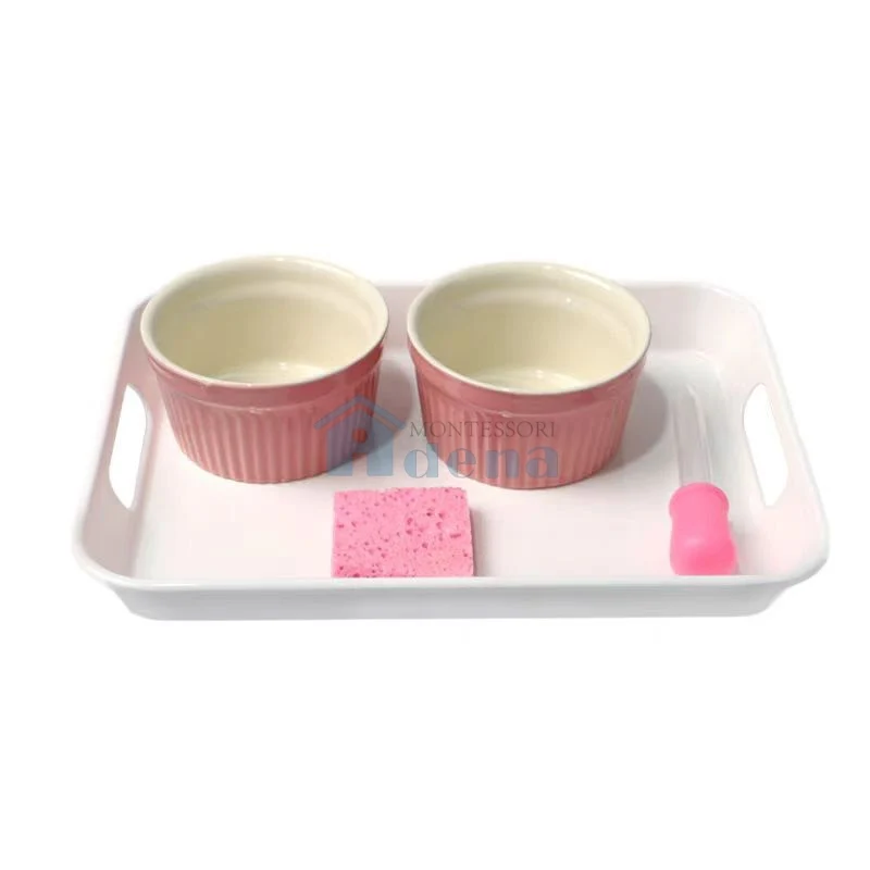 Adena Montessori Practical Life Materials Dropper Activity With Tray