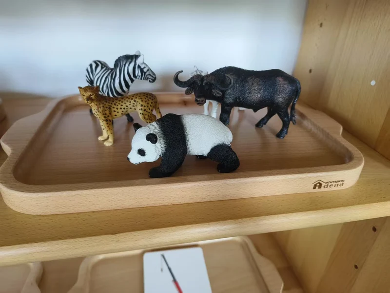 Replicas Objects