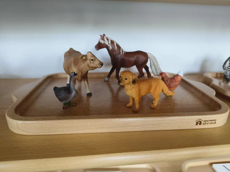 Replicas Objects