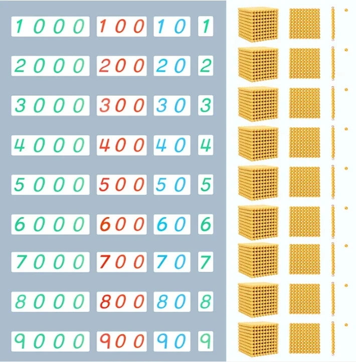 Preschool Montessori Educational Toys Golden Bead Material Bank Game Montessori at Home Mathematical Learning Tool Professional