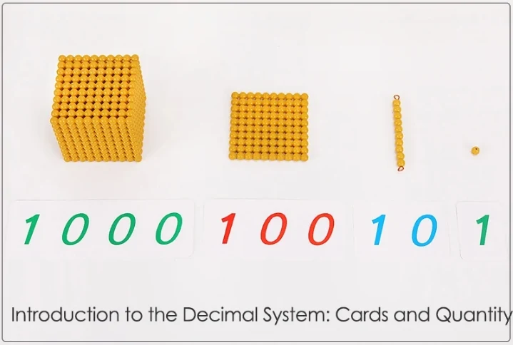 Preschool Montessori Educational Toys Golden Bead Material Bank Game Montessori at Home Mathematical Learning Tool Professional