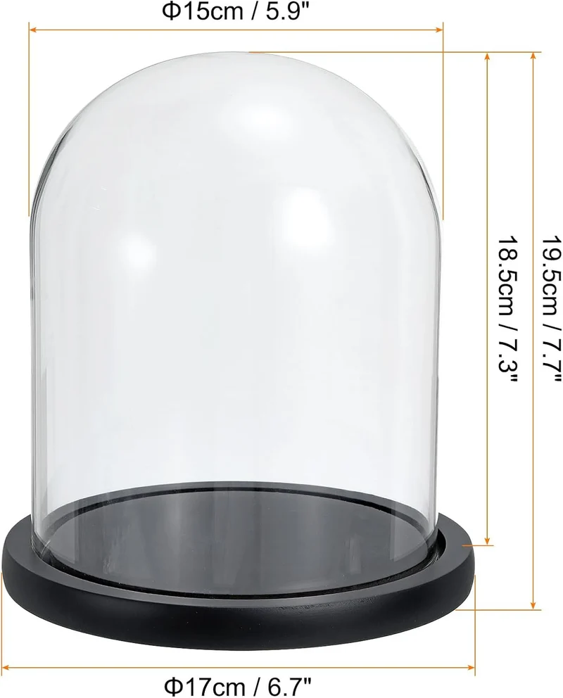 Glass Dome with Black Wooden Base