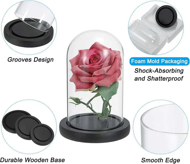 Glass Dome with Black Wooden Base
