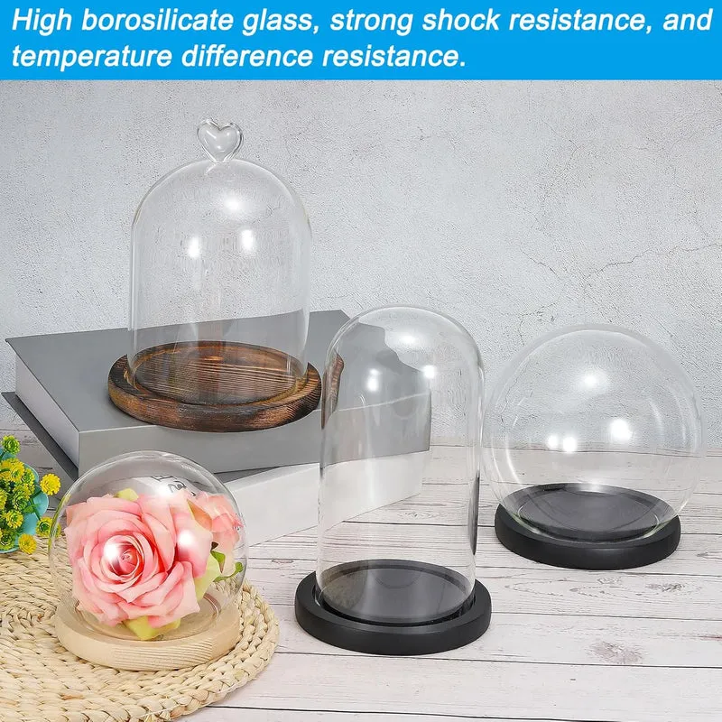 Glass Dome with Black Wooden Base