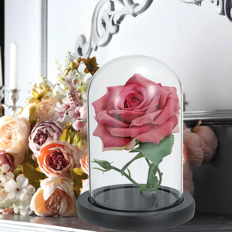 Glass Dome with Black Wooden Base