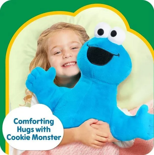 Sesame Street Cookie Monster Plush - Peluche