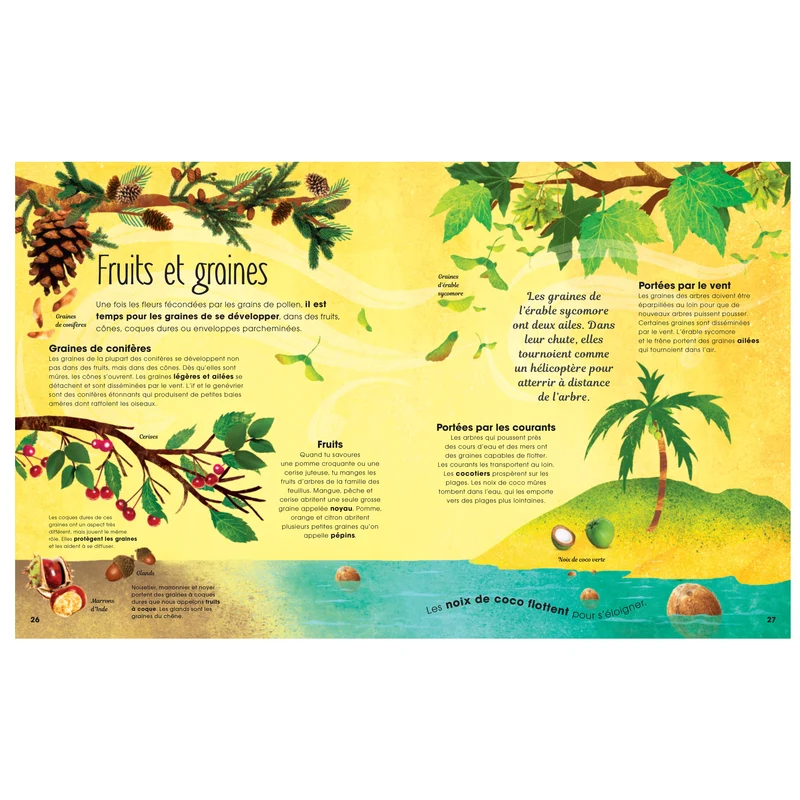 Arbres secrets et mystères insoupçonnés -Kimane