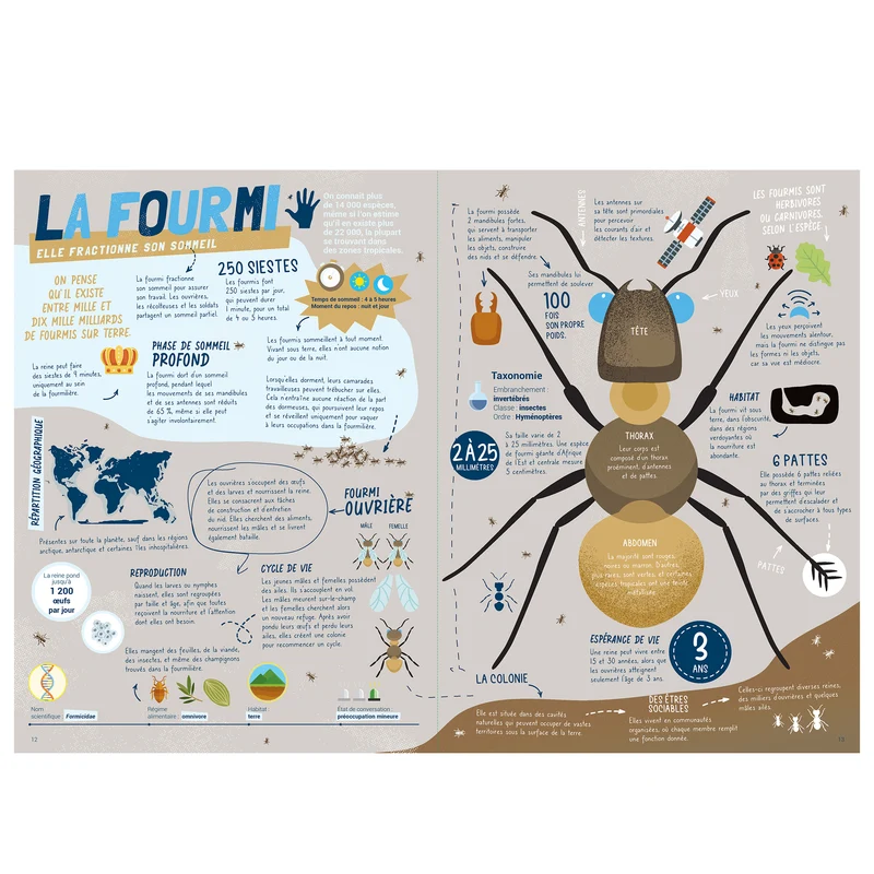 Les animaux, au dodo ! -Kimane