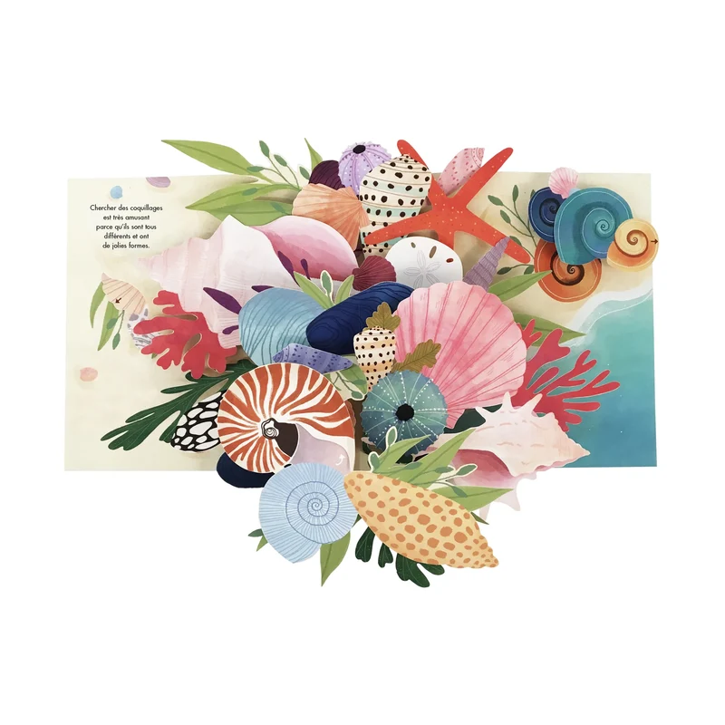 Trésors de l'océan - collection livre pop up -Kimane
