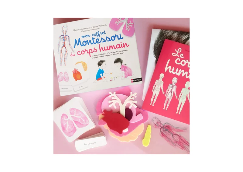 Mon coffret Montessori du corps humain -Nathan