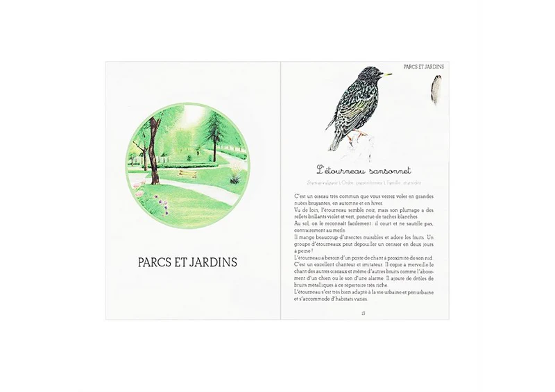 Mon coffret Montessori des oiseaux -Nathan