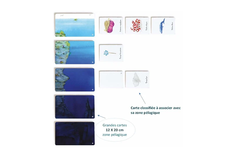 Mon coffret Montessori des océans - Pour découvrir la diversité de la faune océanique -Nathan