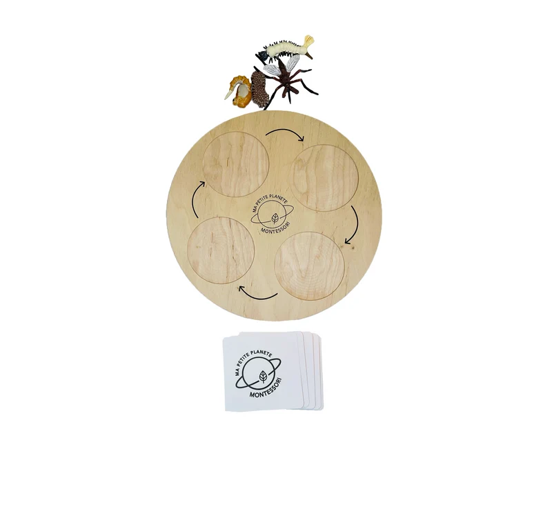 Coffret figurines le cycle de vie d'un moustique