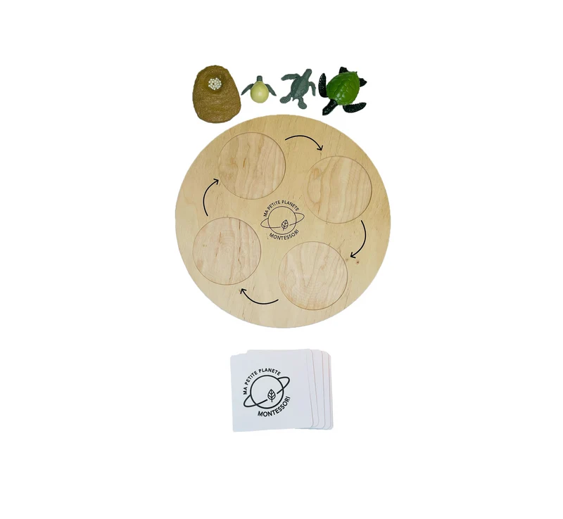 Coffret figurines le cycle de vie d'une tortue