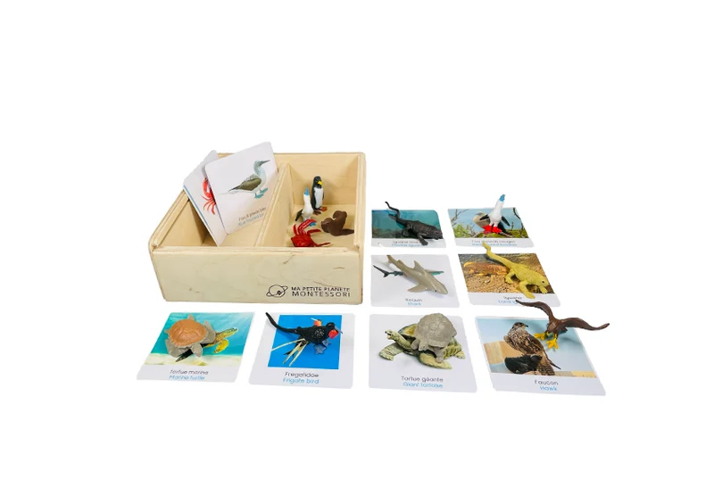 Coffret figurines les galapagos