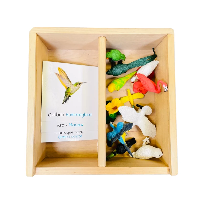Coffret figurines les oiseaux exotiques