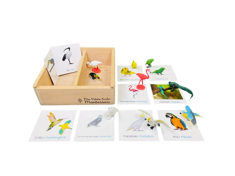 Coffret figurines les oiseaux exotiques