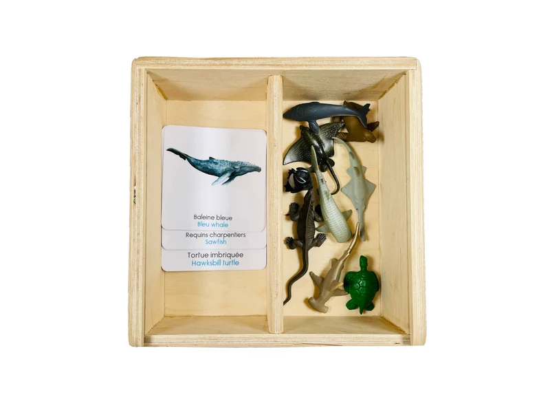 Coffret figurines les animaux menacés marins