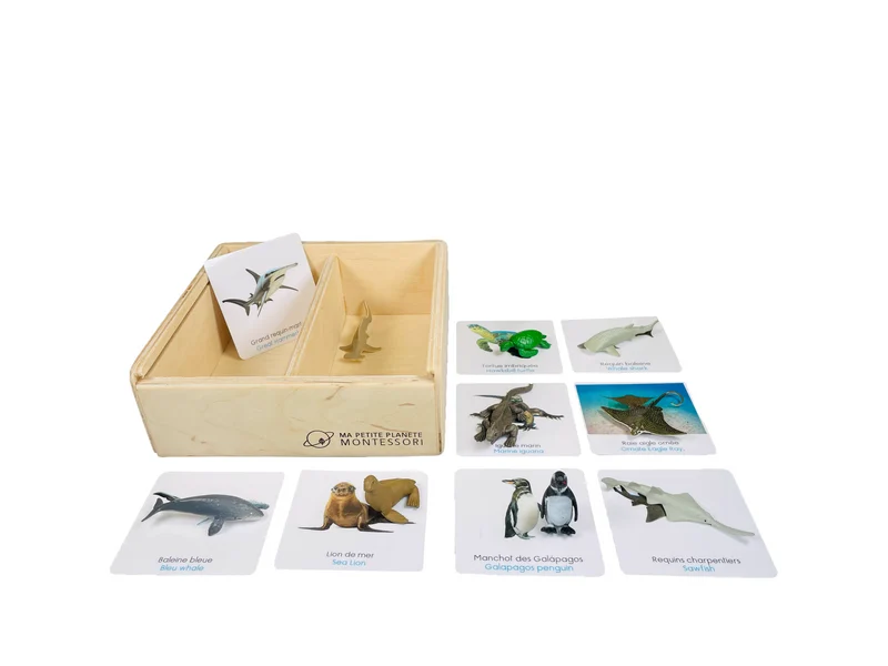Coffret figurines les animaux menacés marins