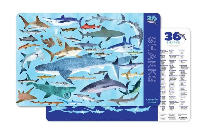 Crocodile Creek Placemat Sharks / Crocodile Creek napperon requins