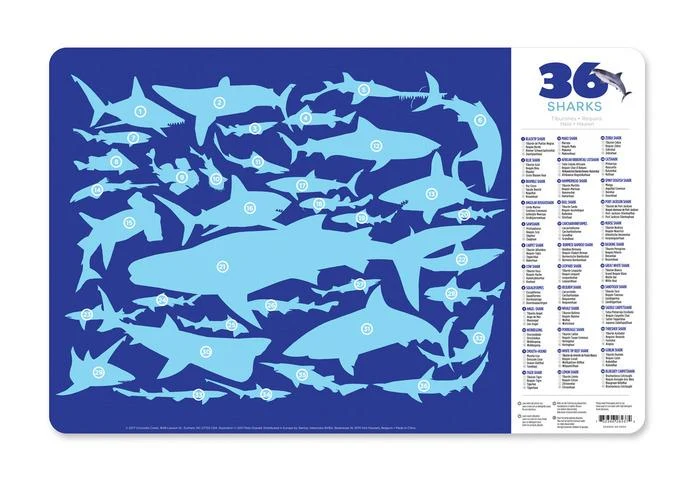 Crocodile Creek Placemat Sharks / Crocodile Creek napperon requins