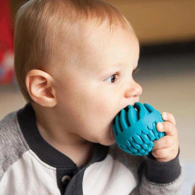Sensory Roller / Rouleau sensoriel